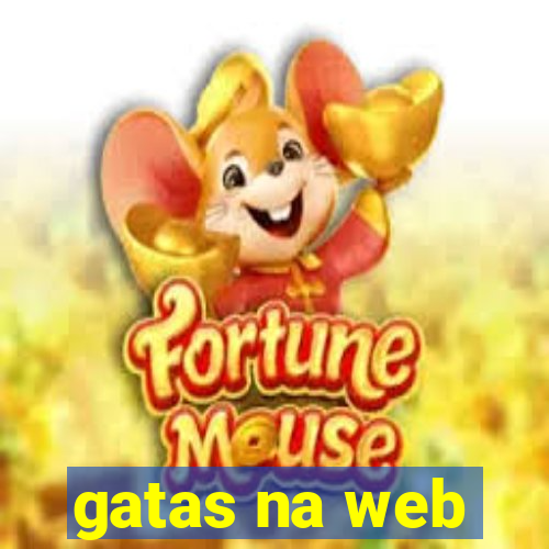 gatas na web